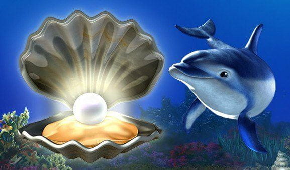 Online Version des Novoliners Dolphins Pearl